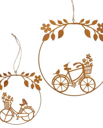 Ophæng Cykel Ophæng Metal Sæt Med Stk - Boltze Bikings  - 4066076223855